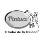 Logo Pintuco Ceipa Business School