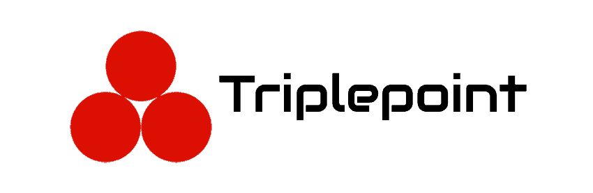 Logo Triplepoint Ceipa Business School