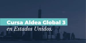 international summer ceipa